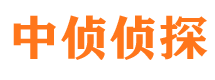 金塔寻人公司